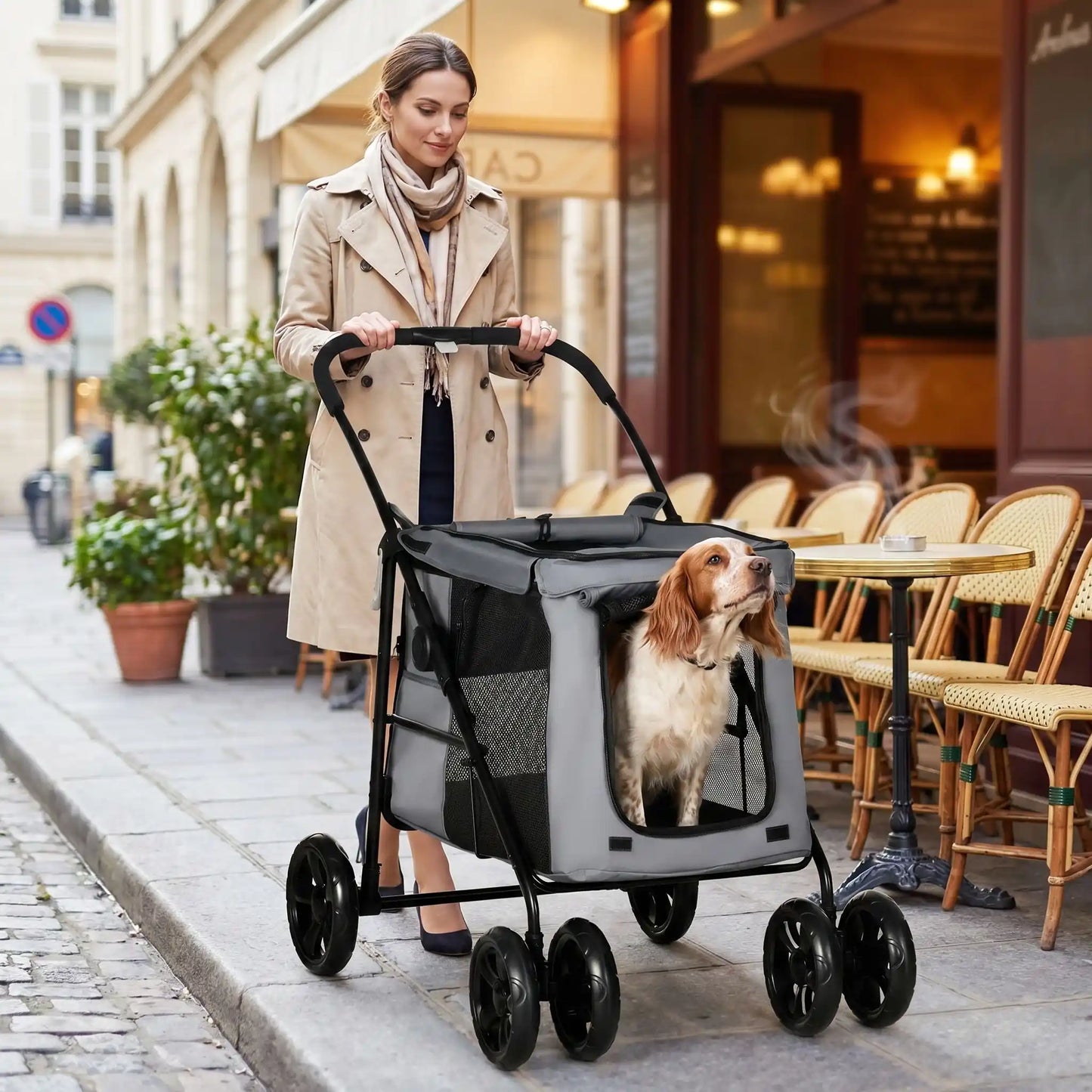 Poussette pour chien 20 kg épagneul picard renifle les odeurs du café