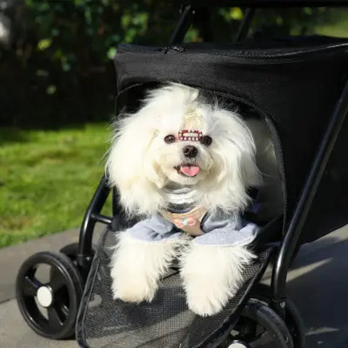 Poussette PetStroller noire avec chien blanc assis, dossier et capote fermée
