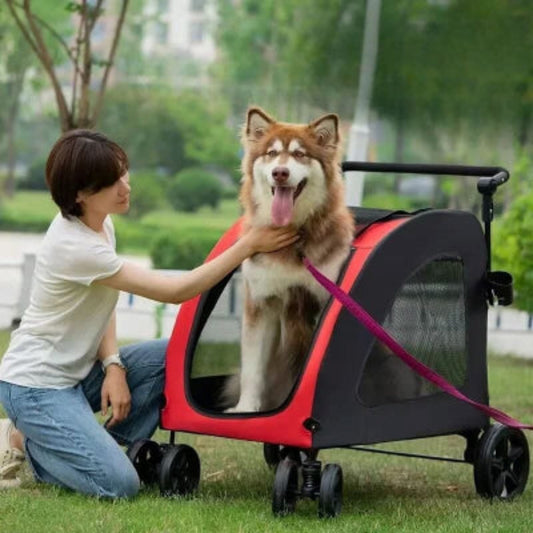Poussette pour chien rouge avec pare-brise mesh noir et laisse, poignée télescopique