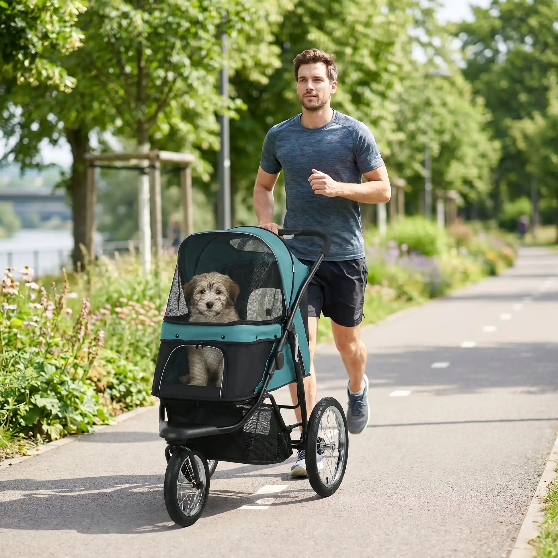 Poussette 3 roues pour chien, capote vert d’eau et fenêtre avant en tissu