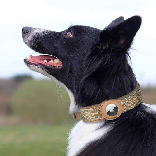 Collier gps chien | Tracker Pro