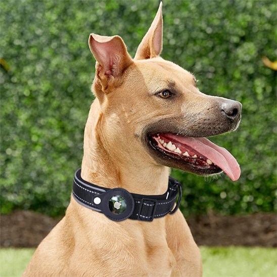 Collier gps chien | Tracker Pro