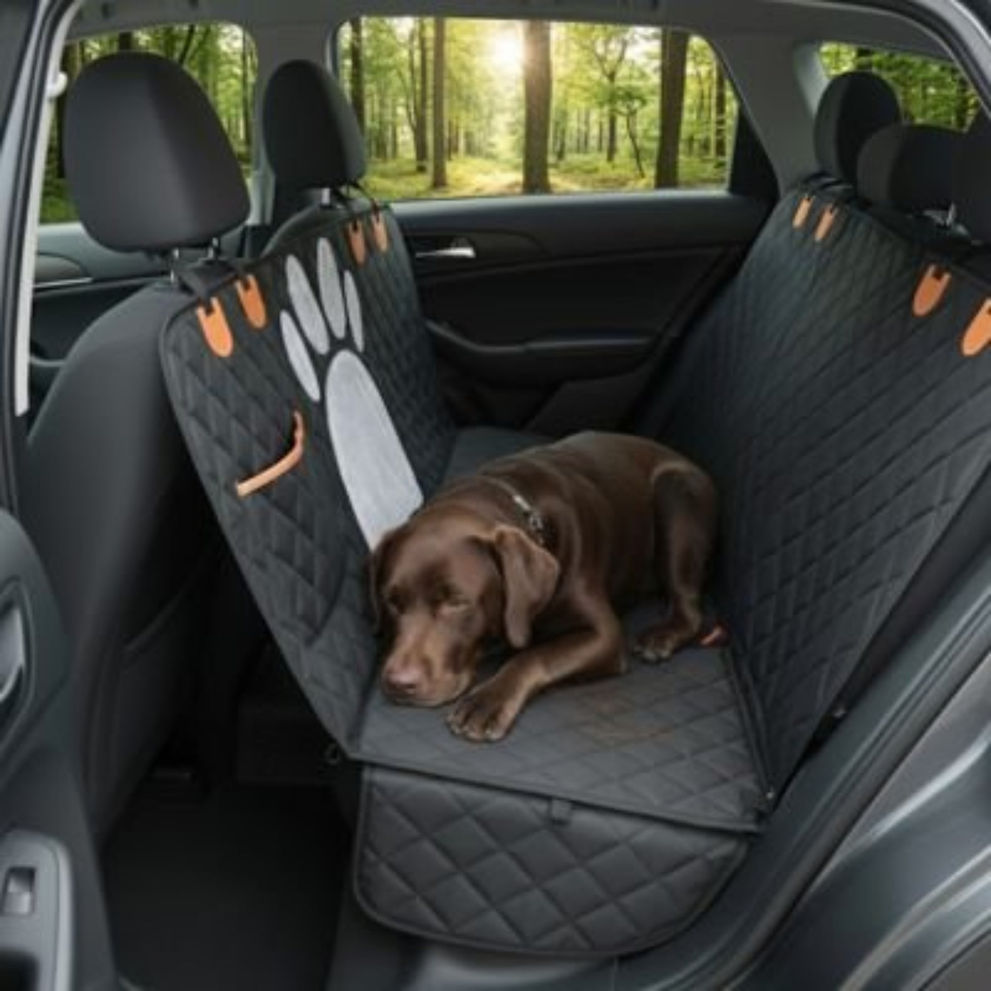 Housse de protection de siège arrière pour chien, noire matelassée antidérapante