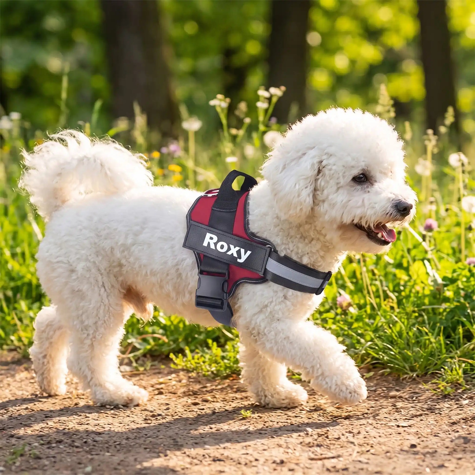 Harnais pour chien noir et rouge, gilet rembourré avec logo Roxy