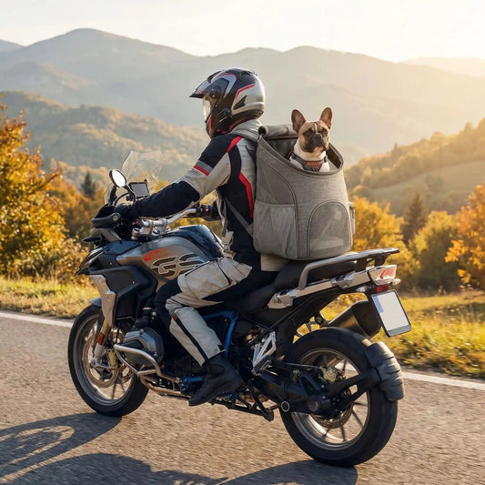 Sac à dos pour chien de moto gris, fenêtre en maille et fermeture zippée