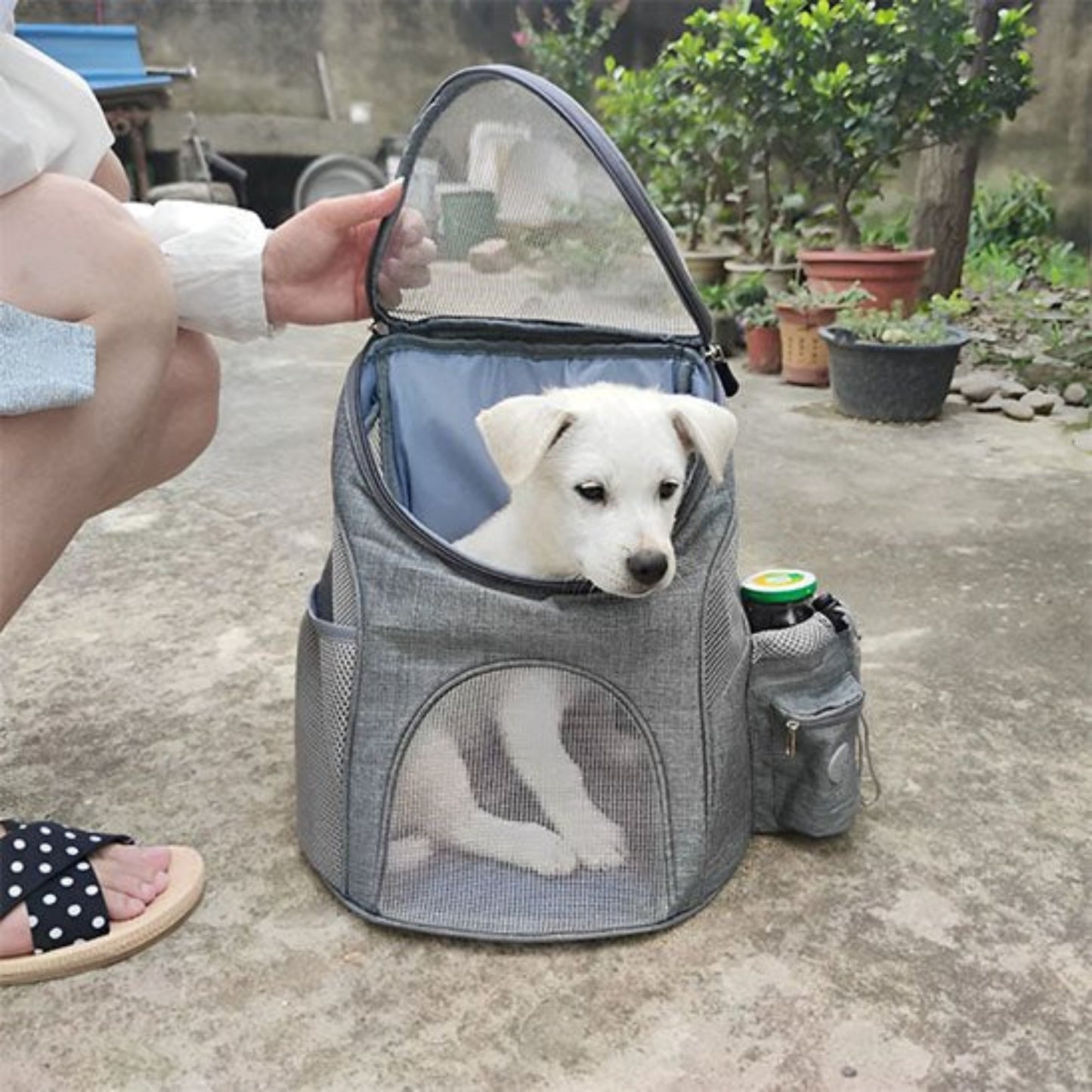 Sac à dos pour chien de moto gris ouvert avec fenêtre en maille et compartiment