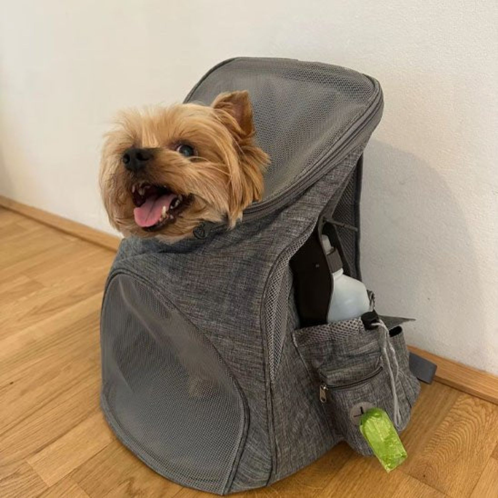 Sac à dos pour chien de moto gris en toile avec fenêtre en maille sur le côté