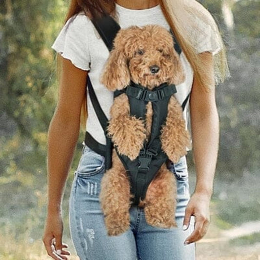 Sac à dos pour chien noir avec harnais et sangle de maintien, porté avec un chien