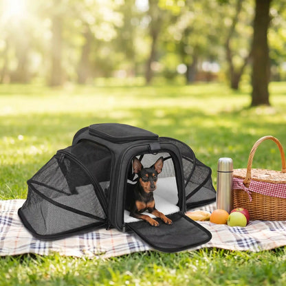 Sac de transport extensible pour chien noir, panneaux en maille et grande ouverture frontale