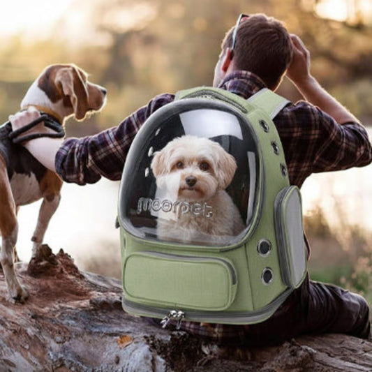 Sac de transport pour chien décathlon vert homme