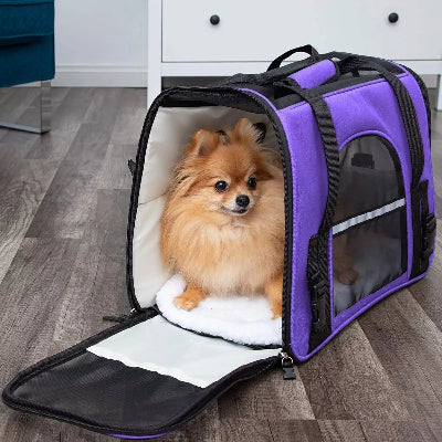 Mini dans son sac de transport pour chien adorable