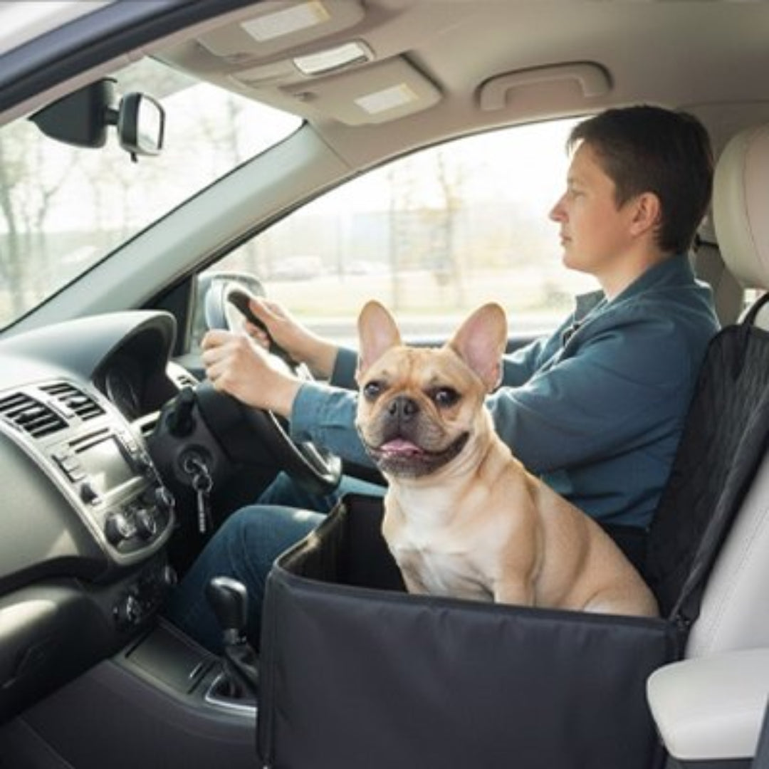 Sac de transport pour chien en voiture noir, chien beige à l’avant, paroi avant droite