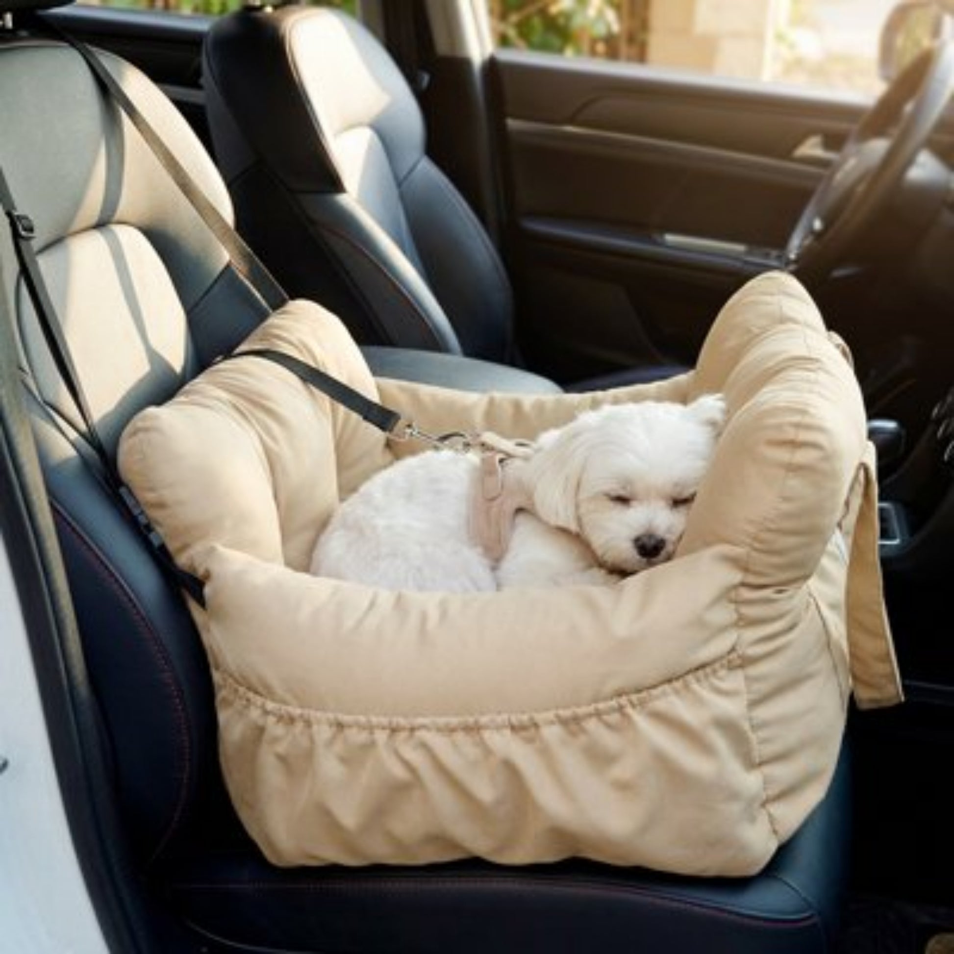 Siege auto pour chien 15 kg beau dodo