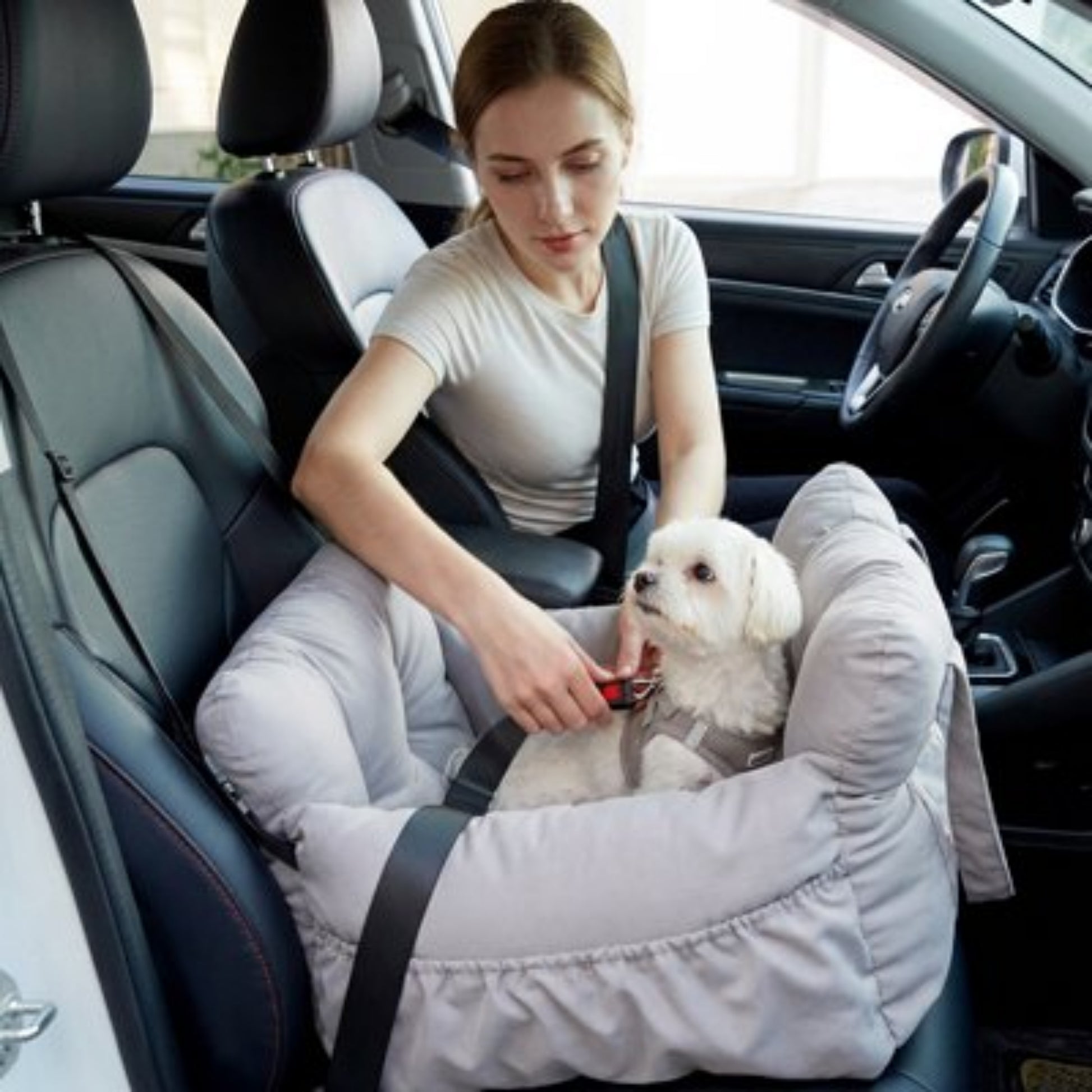 Siege auto pour chien 15 kg dame fixe la ceinture