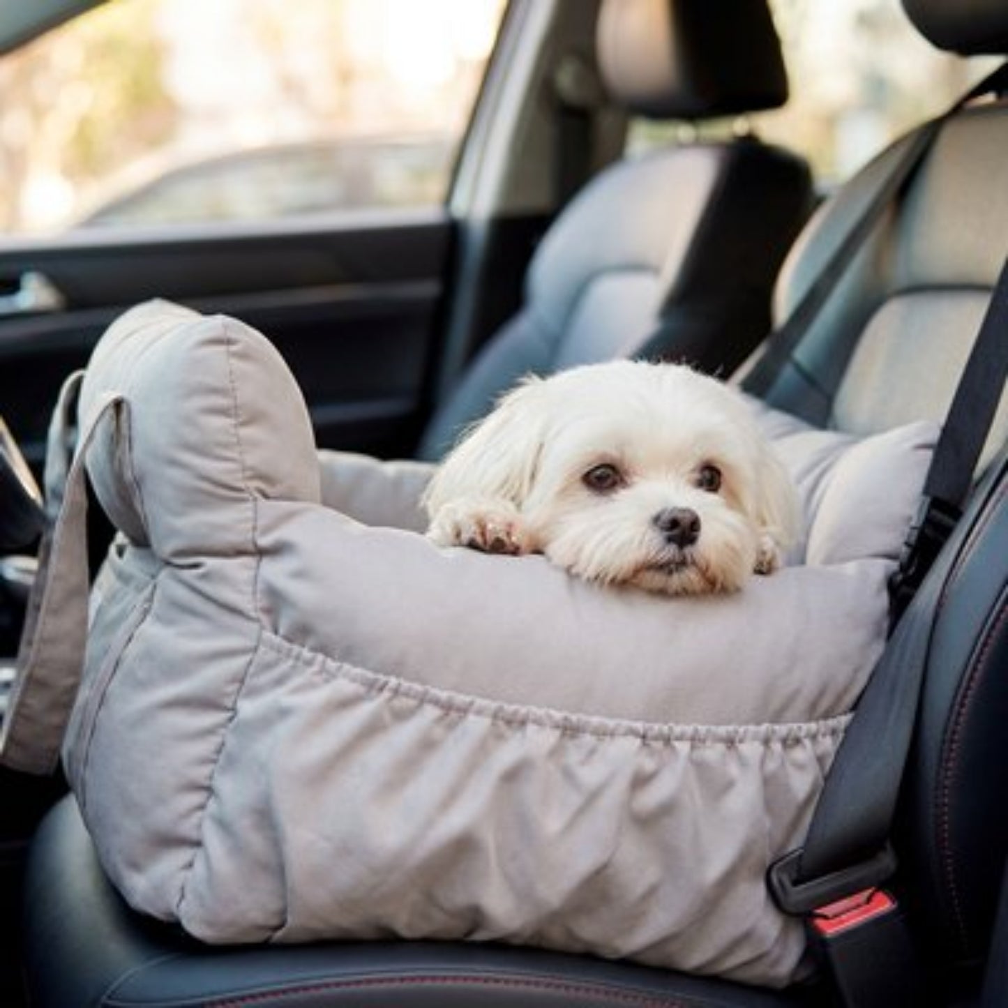 Siege auto pour chien 15 kg jaune