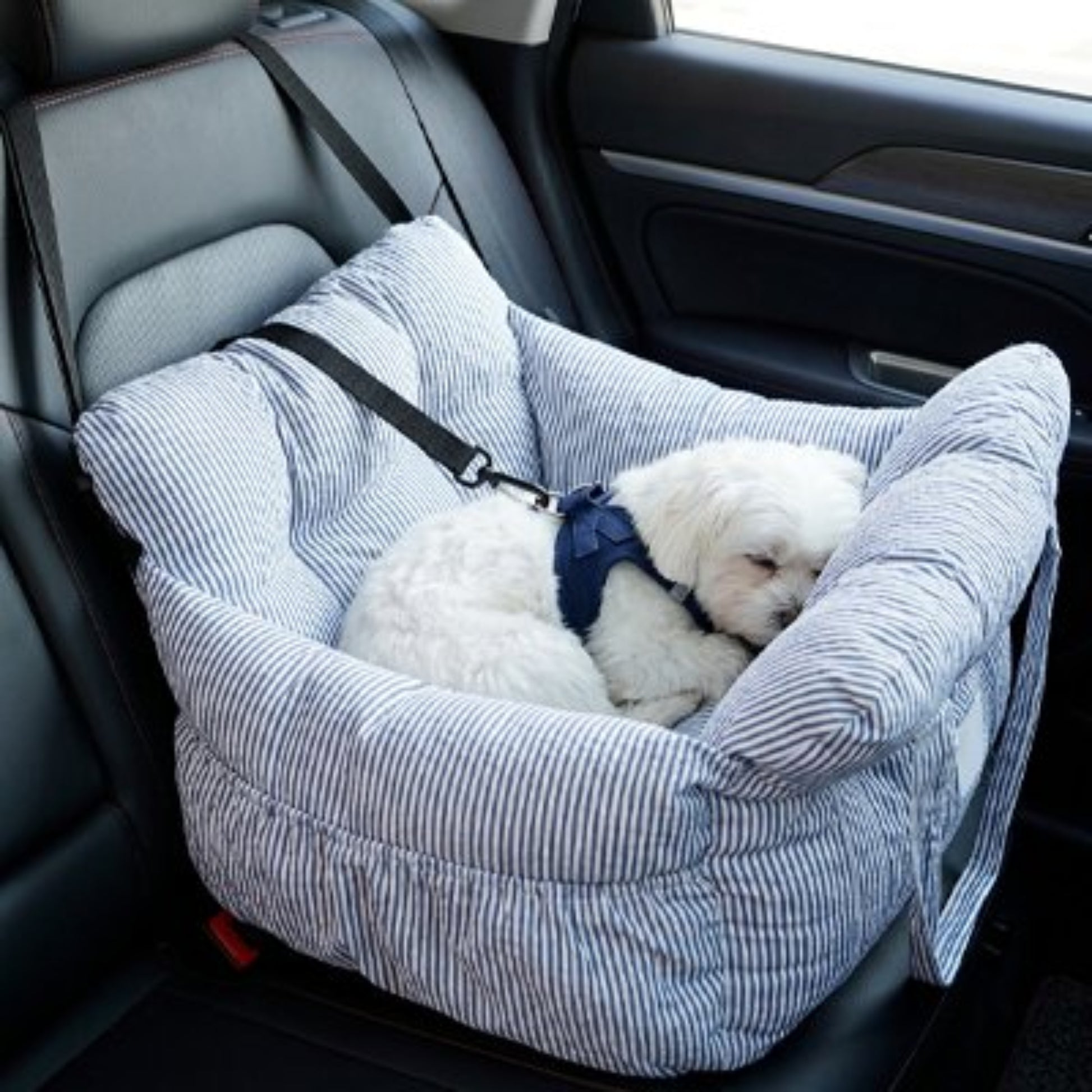 Porte-voyage pour chien rayé bleu, coussin en forme de lit avec sangles