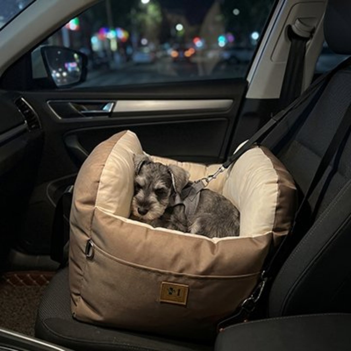 Siège auto pour chien beige, coussin profond, chien assis, sangles de fixation