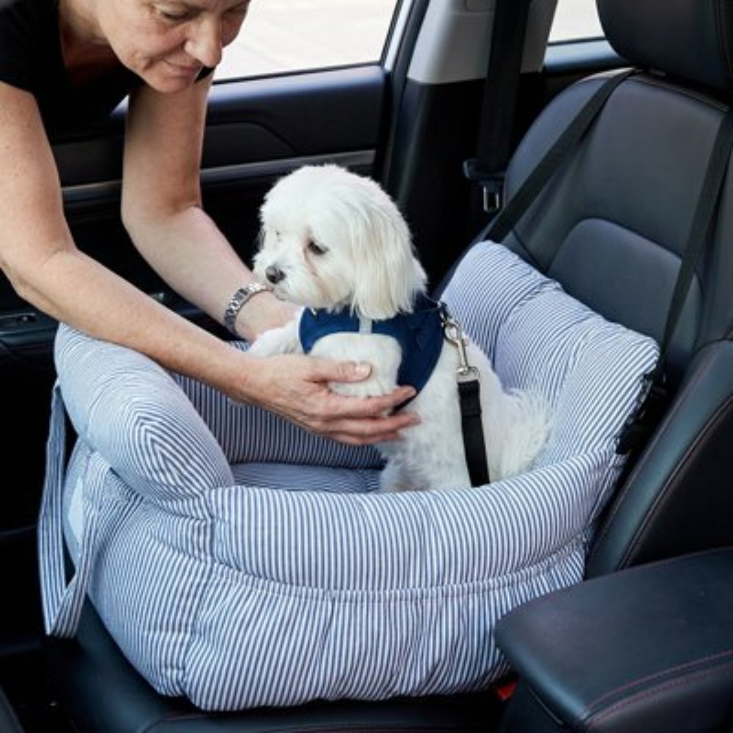Porte-voyage pour chien rayé bleu, coussin moelleux avec bordures et housse