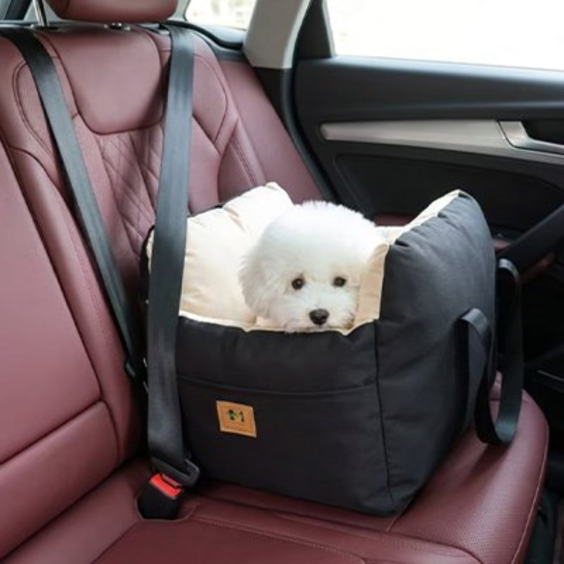 Siège auto pour chien noir, coussin rembourré, chien blanc couché, sangles et poignée