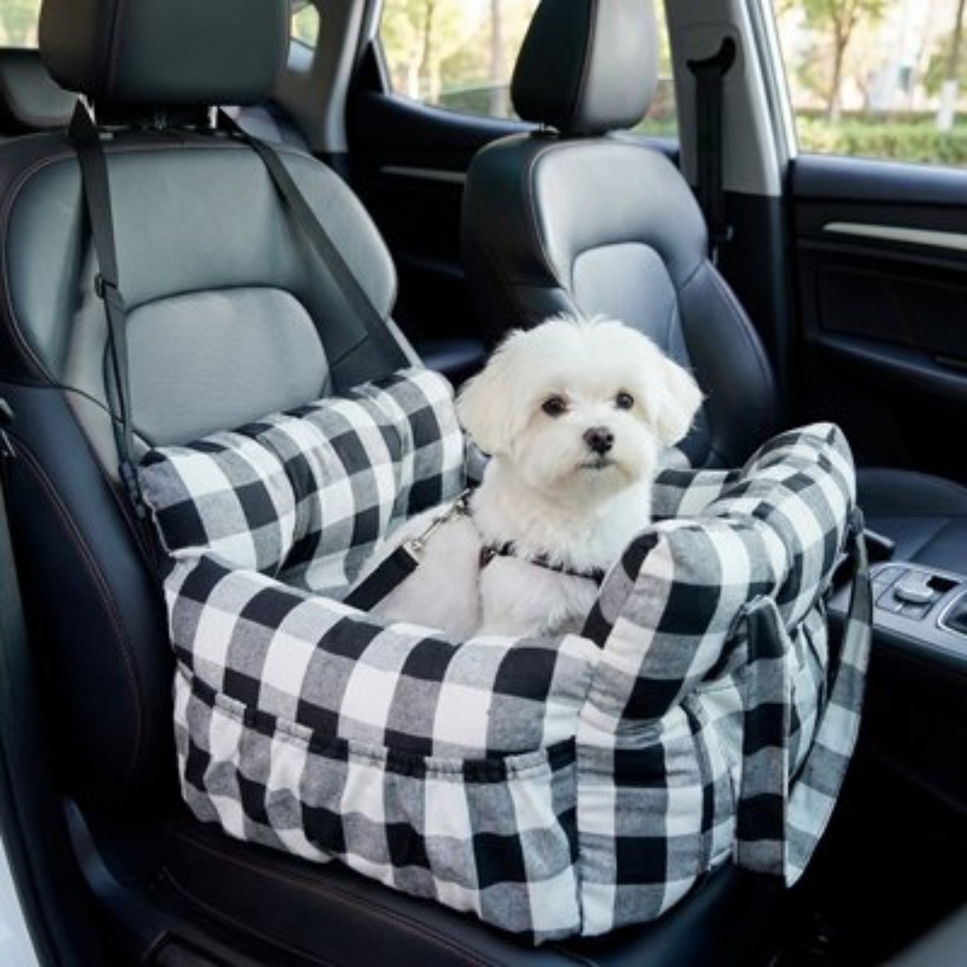 Porte-voyage chien à carreaux noir et blanc, avec chien assis et sangles visibles