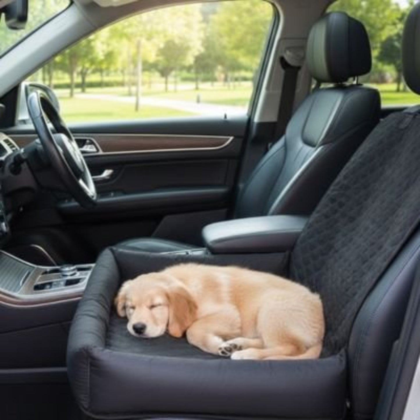 Housse de siège auto pour chien, gris foncé, coussin rembourré pour banquette