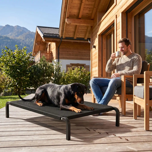 Lit surélevé pour chien cadre noir avec un chien allongé sur la maille