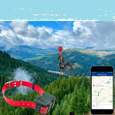 Traceur gps chien montagne wow