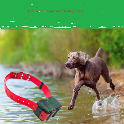 Traceur gps chien rivière