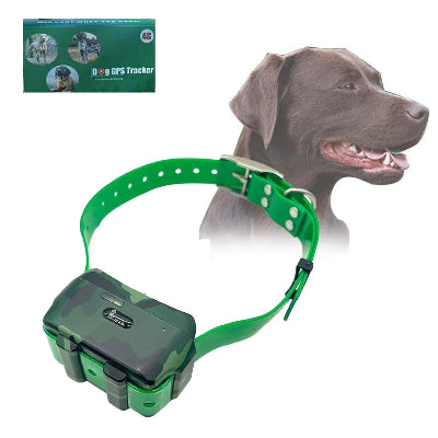 traceur gps chien vert