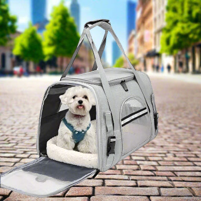 Trop mignon le caniche installé dans son sac de transport pour chien