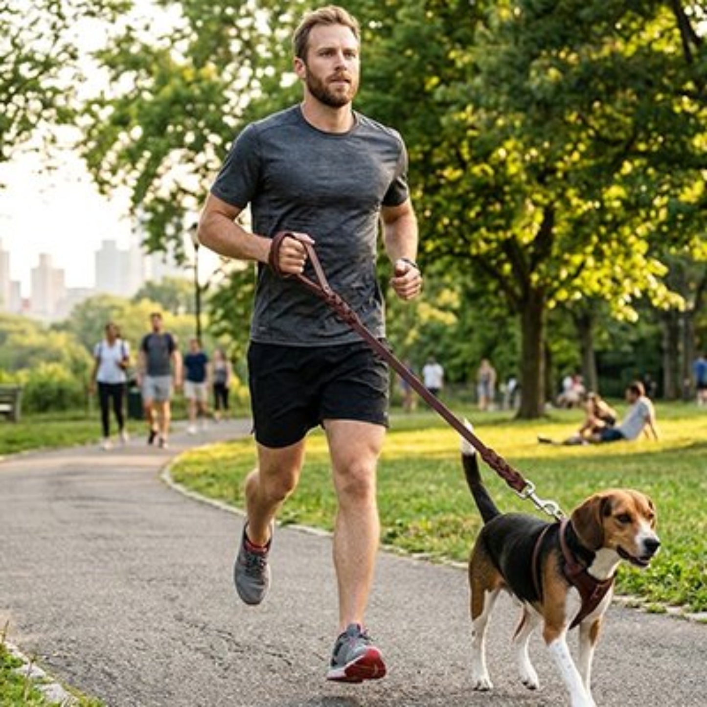 Laisse pour chien bordeaux tressée avec mousqueton, portée en promenade