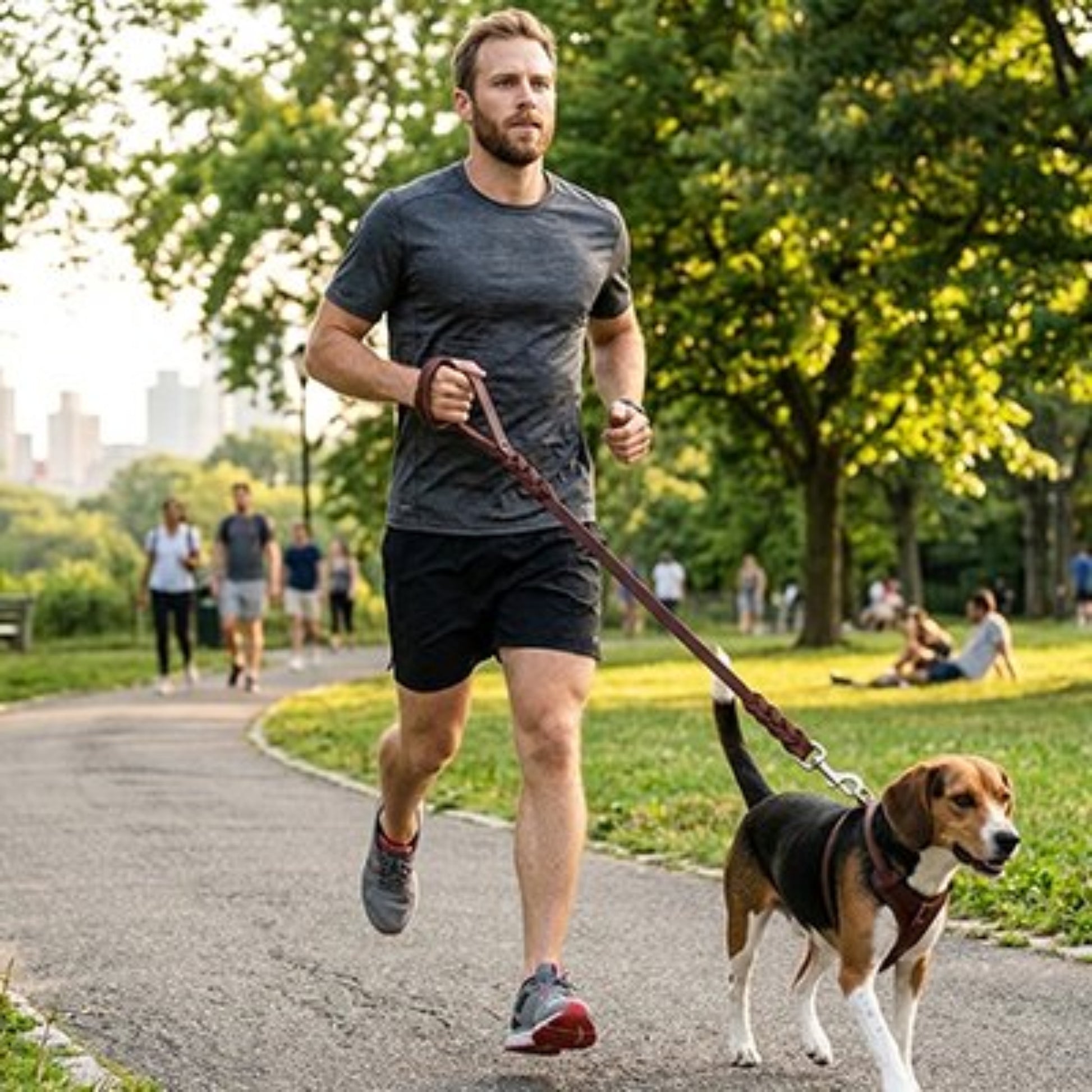Laisse pour chien bordeaux tressée avec mousqueton, portée en promenade