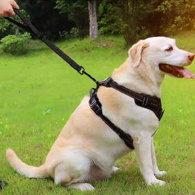 Une laisse de chien 45 cm noir