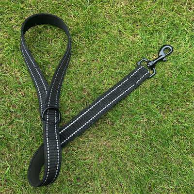 Une laisse de chien sur gazon magnifique