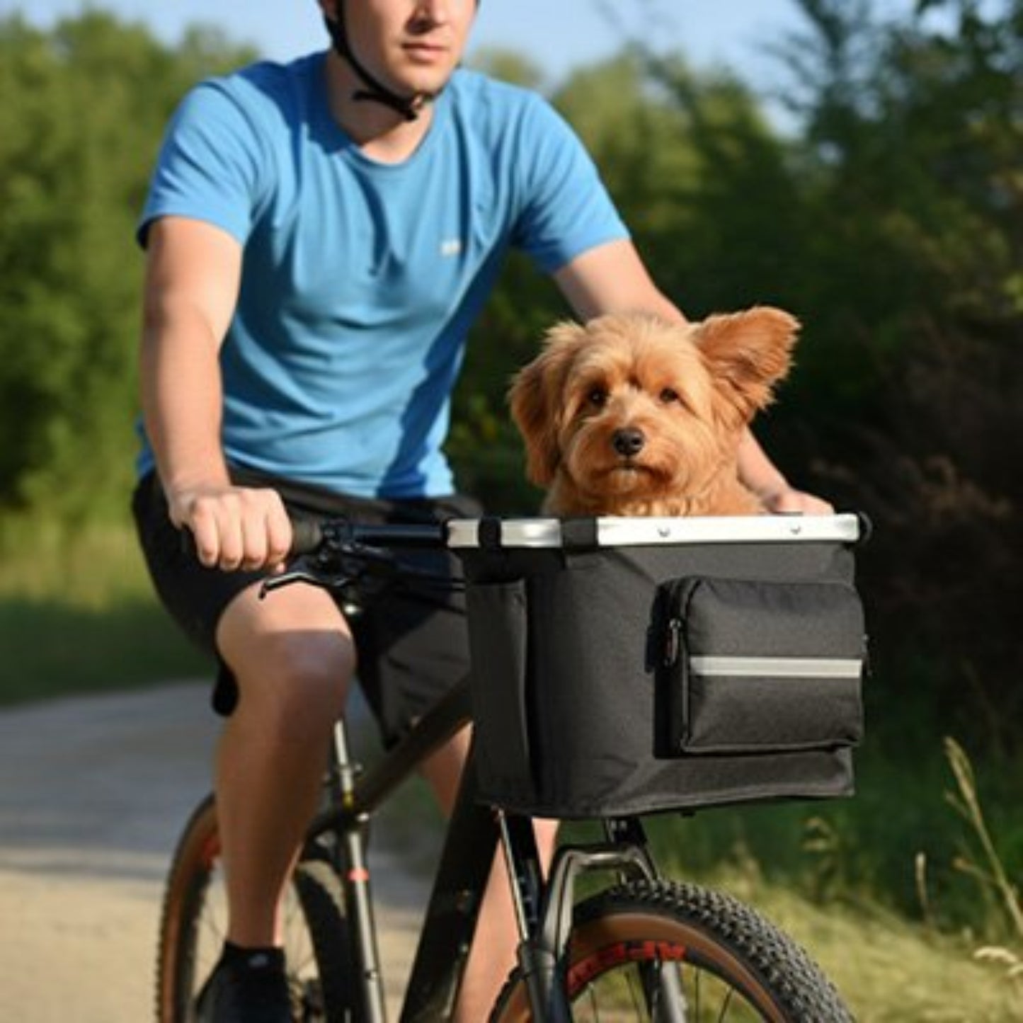 Panier à vélo pour chien noir sur porte-avant, vue de profil, avec chien assis.