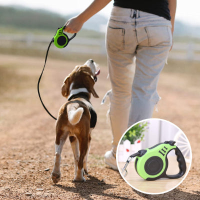 Verte laisses pour chiens route sable