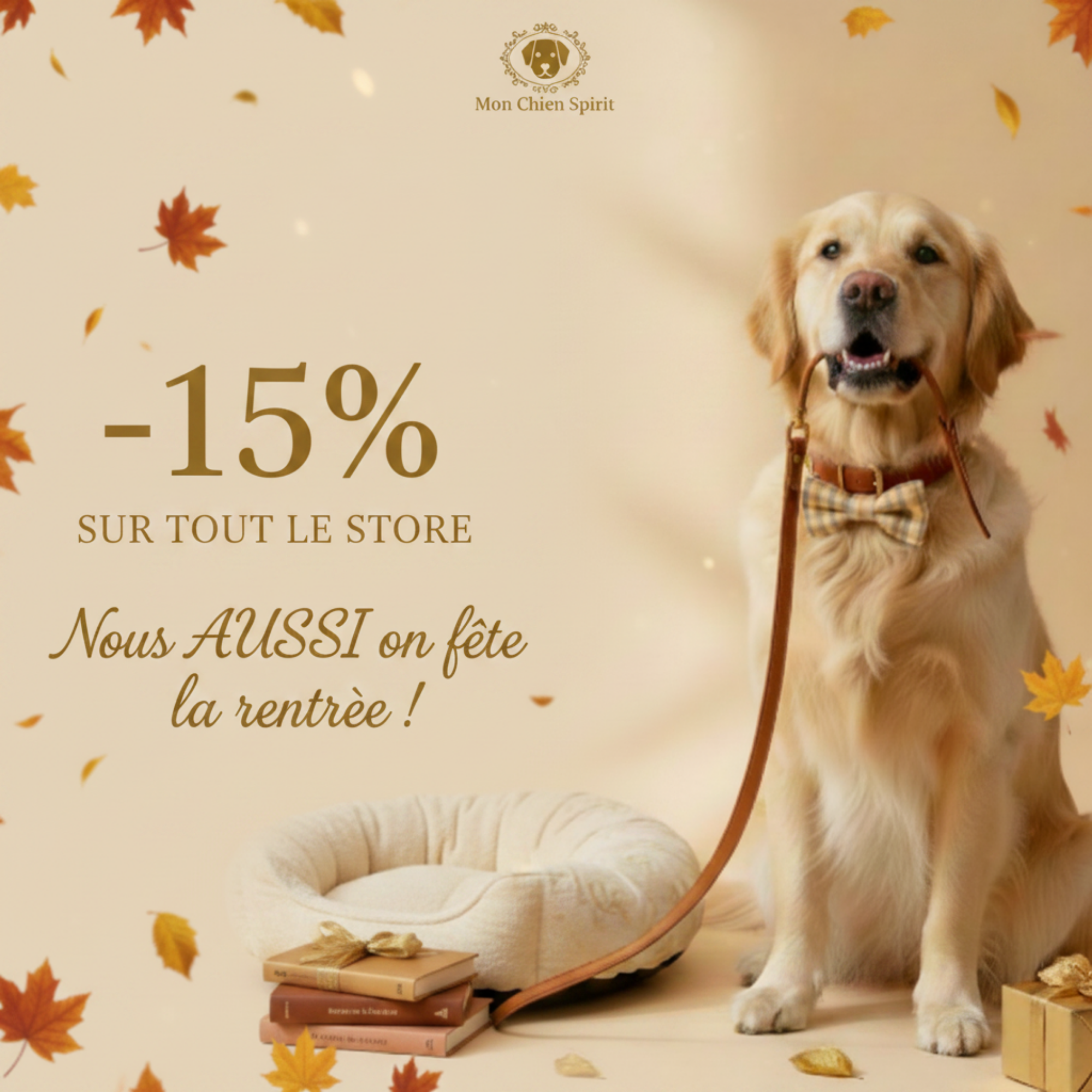 Vsuel nous aussi on fête la rentrée