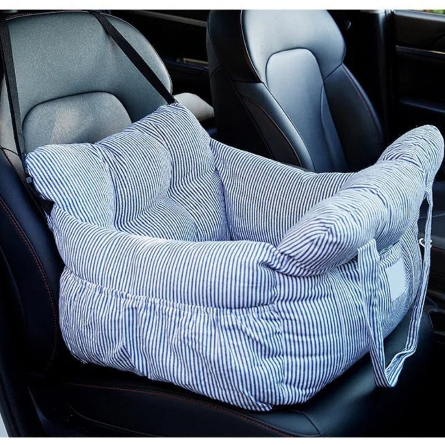 Porte-voyage pour chien rayé bleu, coussin incurvé avec sangles de fixation